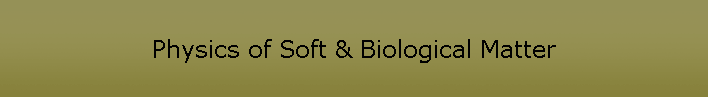 Physics of Soft & Biological Matter