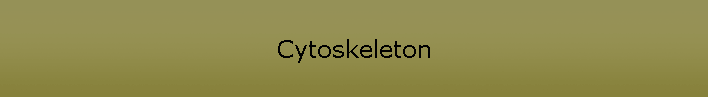 Cytoskeleton