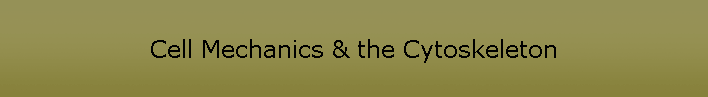 Cell Mechanics & the Cytoskeleton