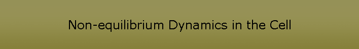 Non-equilibrium Dynamics in the Cell