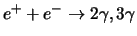 $e^++e^- \rightarrow 2\gamma, 3\gamma$