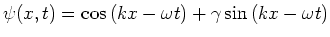 $\psi (x,t) = \cos{(kx-\omega t)} + \gamma \sin{(kx -\omega t)}$